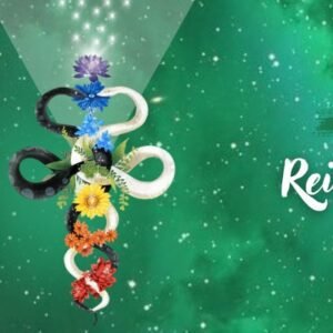 Curso Reiki Kundalini