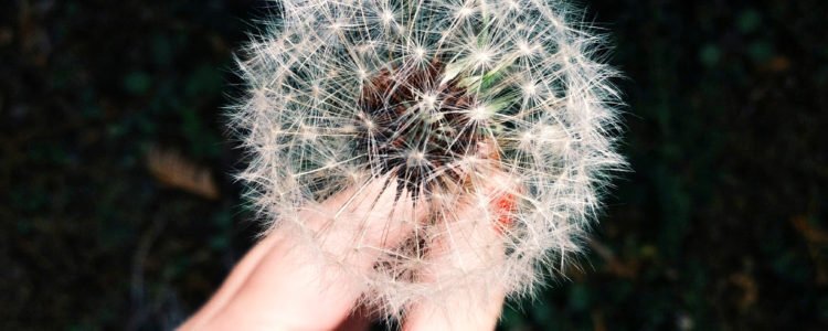 Lectura del aura y canalización angelical