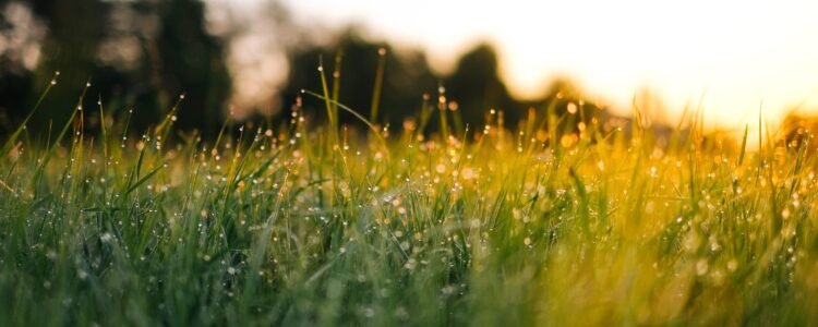 Risoterapia para niños