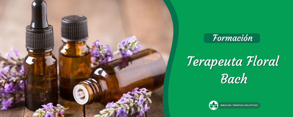 Curso de terapeuta floral – Sistema Bach
