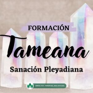 Formación Tameana (Pago total)