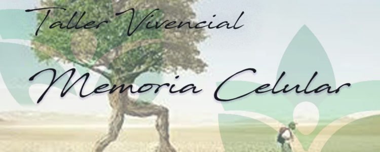 Taller Vivencial de Memoria Celular