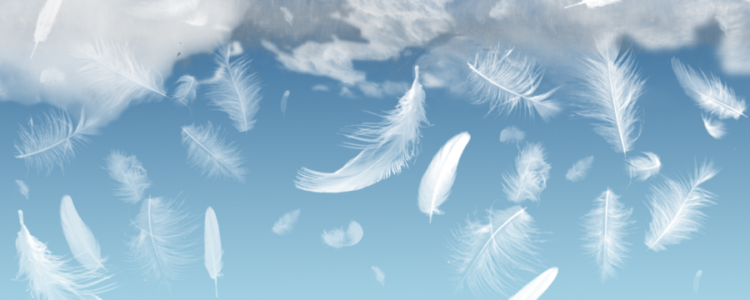 Curso de Terapias Angelicales