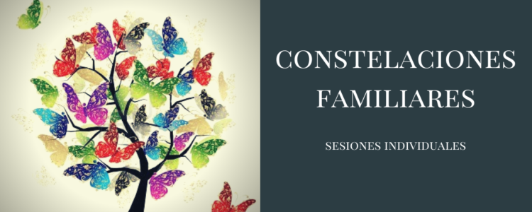 Constelaciones Familiares/ Sistemáticas en sesiones individuales